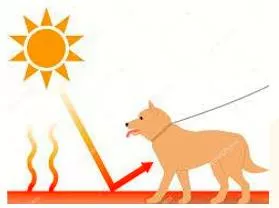 Susceptible  - Meaning- Likely or liable to be influenced or harmed by a particular thing.