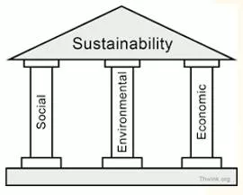 Sustainability  - Meaning- The ability to be maintained at a certain rate or level.
