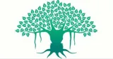 Why adaptability is not such a bad word