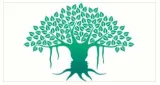 Traditional vedic insights to boost your immunity