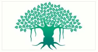 Traditional vedic insights to boost your immunity