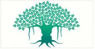Anatomy of the divine spiritual fire