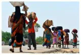 The echo of migrant footfalls and the silence on policy