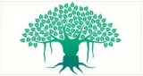 Importance of awareness and contemplation