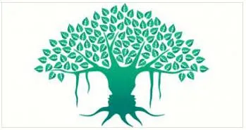 Importance of awareness and contemplation