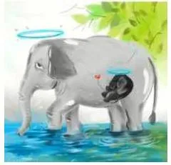  death of an elephant