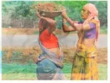 Livelihood floor  administrative rationing in mgnregs needs checking when non farm incomes have collapsed