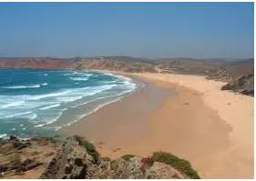 Littoral  - Meaning- Relating to or situated on the shore of the sea or a lake.