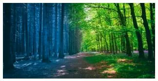 Resilience  - Meaning- The ability of people or things to recover quickly after something unpleasant, such as shock, injury, etc.