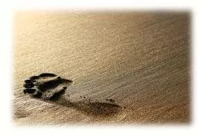 Ephemeral  - Meaning-  Lasting for a very short time.