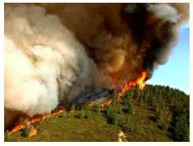 Conflagration  - Meaning- An extensive fire which destroys a great deal of land or property.