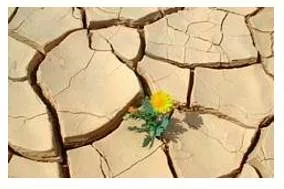 Outlive - Meaning- To continue to exist after something else has ended or disappeared.