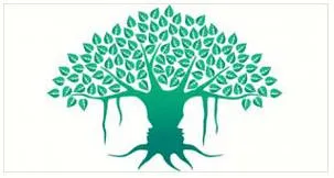 Newness in dealing with life’s challenges