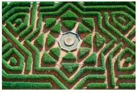 Maze  - Meaning - A complex network of paths or passages.