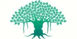 How you make  store and retrieve memories