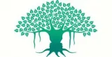 Now is the time to embrace value creation