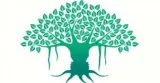 Rainy season inspires introspection & meditation