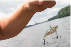 Lure  - Meaning -  To persuade or trick somebody to go somewhere or to do something by promising them a reward.