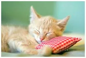 Quiescent  - Meaning - In a state or period of inactivity or dormancy.