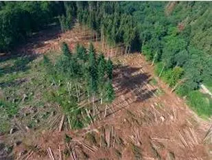For stronger norms  environmental action