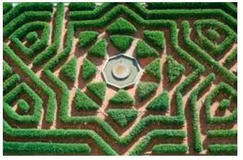 Maze  - A complex network of paths or passages.