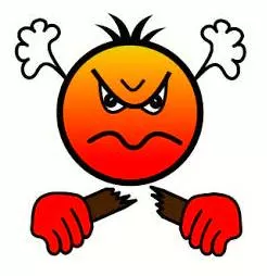 Vexed  - Upset or annoyed.