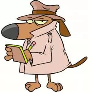 Watchdog  - A person or group that monitors the practices of companies providing a particular service or utility.