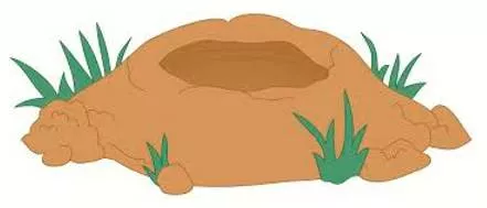 Gouge  - To remove or form something by digging into a surface.