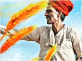 Market failure  on agriculture sector reforms