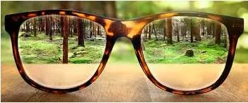 Starkly  - In a way that is easy to see because it is very different.