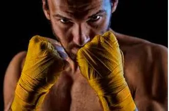 Bellicose  - Having or showing a desire to argue or fight.