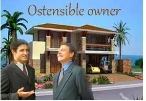 Ostensible  - Stated or appearing to be true, but not necessarily so.