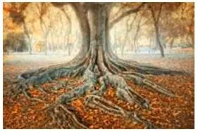 Ingrained  - (of a habit, an attitude, etc.) that has existed for a long time and is therefore difficult to change.