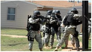 Foray  - A sudden attack or incursion into enemy territory.
