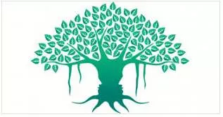 Cricket  ipl 2020  life and vedanta