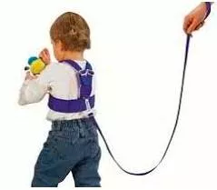 Leash - A restraint.