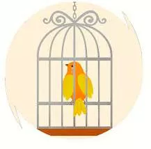 Confined  - (of a space) restricted in area or volume.