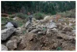 The right lessons from pulwama and balakot