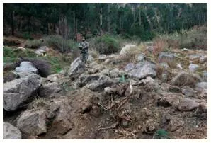 The right lessons from pulwama and balakot