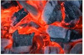 Ember  - A piece of wood or coal that is not burning but is still red and hot after a fire has died.