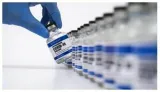 In vaccine race last lap  the key steps for india