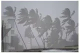 Storm warnings  on weather forecast