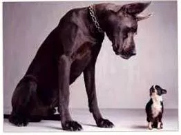 Intimidation  - The act of frightening or threatening somebody so that they will do what you want.