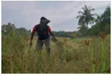 The many layers to agricultural discontent