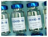 Transparency is vital  on authorisation of coronavirus vaccines