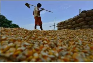 The roots of the agricultural crisis run deep