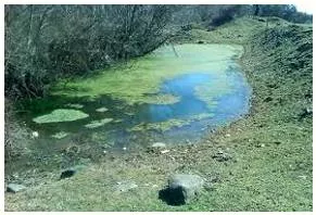 Stagnant  - Showing no activity.