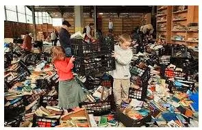 Glut  - An excessively abundant supply of something.