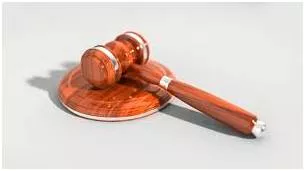 Infringement  - The action of breaking the terms of a law, agreement, etc.; violation.