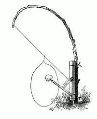 Snare - A trap for catching birds or mammals, typically one having a noose of wire or cord.
